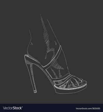 Hand-drawing female foot vector image Hand-drawing female foot vector image