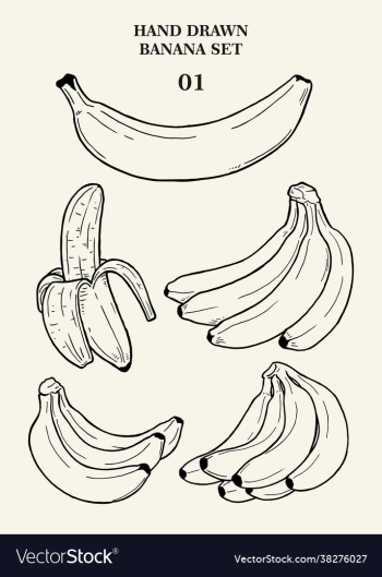hand drawn banana set 01 hand drawn banana set 01