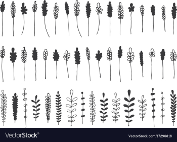 hand drawn botanical decorative design elements