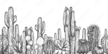 Hand drawn cactuses