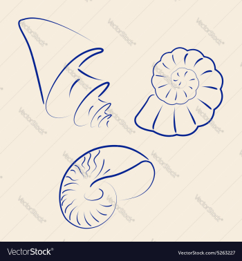 Hand drawn collection of various seashells vector image Hand drawn collection of various seashells vector image