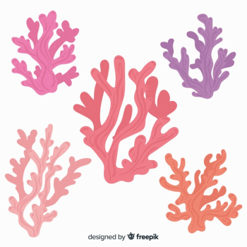 Hand drawn coral collection Free Vector Hand drawn coral collection Free Vector