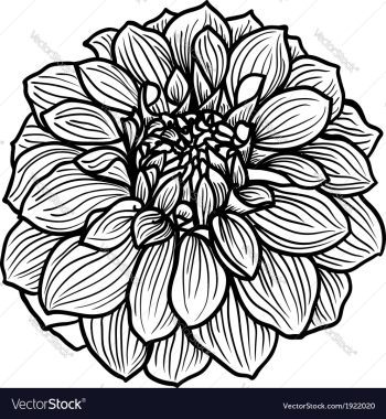 Hand drawn flower vector image Hand drawn flower vector image