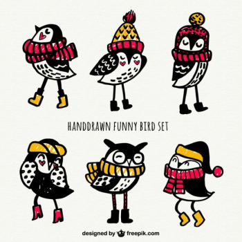 Hand drawn funny birs set Hand drawn funny birs set