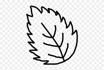 Hand Drawn Leaf Outline Transparent Clip Art - Outline Image Of Leaf