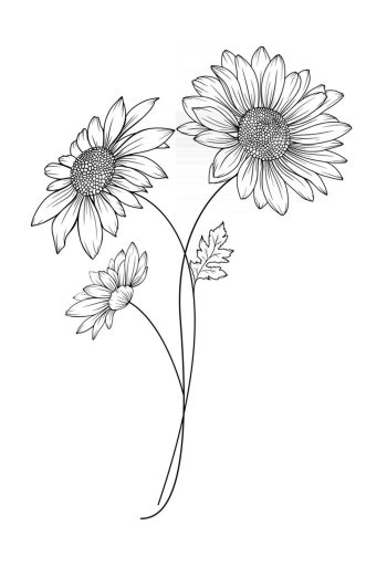 Hand-drawn Outline of Daisies Hand-drawn Outline of Daisies