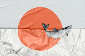 Hand drawn salmon with crinkled paper texture… | Free stock illustration | High Resolution graphic