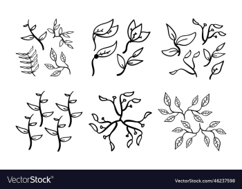 hand drawn set of leaf icons