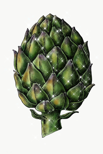 Hand drawn sparkling artichoke design element | Free transparent png - 2351120 Hand drawn sparkling artichoke design element | Free transparent png - 2351120