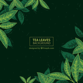 Hand drawn tea leaves background Hand drawn tea leaves background