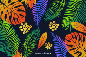 Hand drawn tropical background Free Vector Hand drawn tropical background Free Vector
