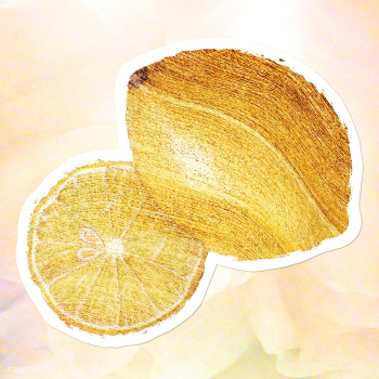 Hand drawn yellow lemon fruit brushstroke style sticker with a white b.. | Free  illustration - 2355406