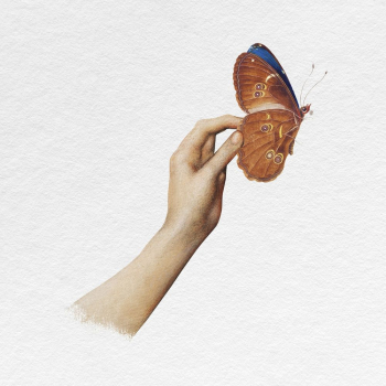 Hand holding butterfly clipart, aesthetic | Free Photo - rawpixel