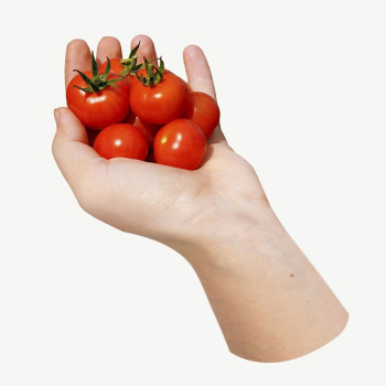Hand holding cherry tomatoes collage | Free PSD - rawpixel Hand holding cherry tomatoes collage | Free PSD - rawpixel
