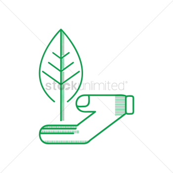 Hand holding leaf Hand holding leaf