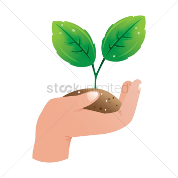 Hand holding plant Hand holding plant