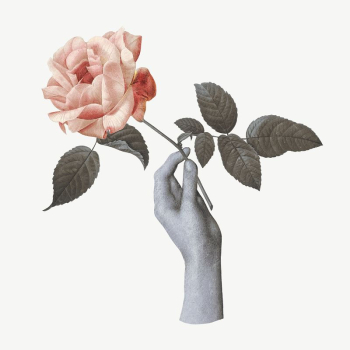 Hand holding rose collage element | Free PSD - rawpixel