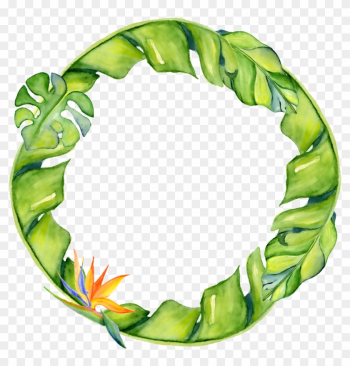 Hand-painted Banana Leaf Circle Png Transparent - Leaf