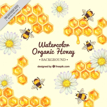 Hand painted honeycomb with bees background Hand painted honeycomb with bees background