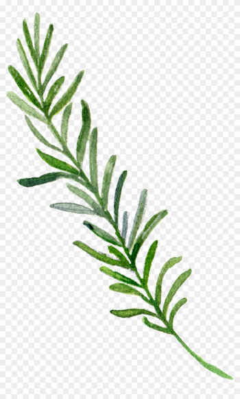 Hand-painted Leaf Border - Border Leaves Painting Png Hand-painted Leaf Border - Border Leaves Painting Png