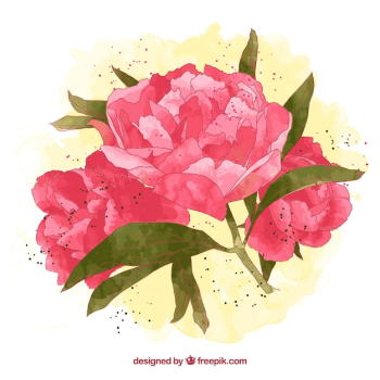 Hand painted peonies Hand painted peonies