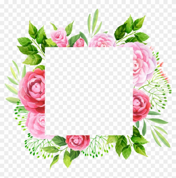 Hand Painted Peony Flower Frame Png Transparent - Leaf Painting Png