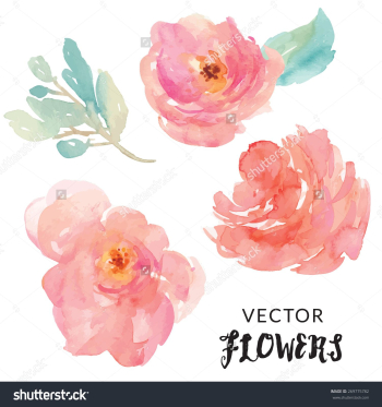 Hand Painted Watercolor Flower Vector. Watercolor Vector Flowers ...