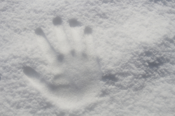 Hand Print On Snow Hand Print On Snow