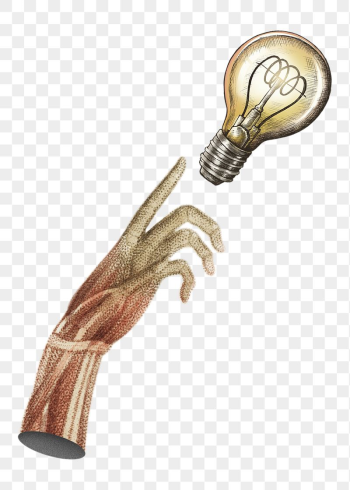 Hand reaching light bulb png | Free PNG - rawpixel