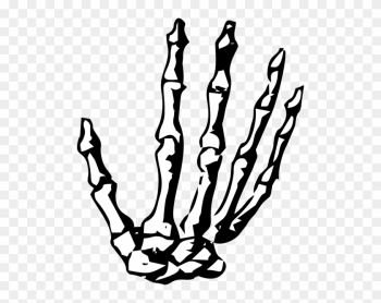 Hand,skeleton,skeleton - Manos De Esqueleto Png Hand,skeleton,skeleton - Manos De Esqueleto Png