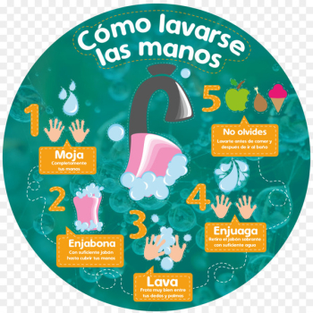 Hand washing Infographic Illustration - hand Hand washing Infographic Illustration - hand