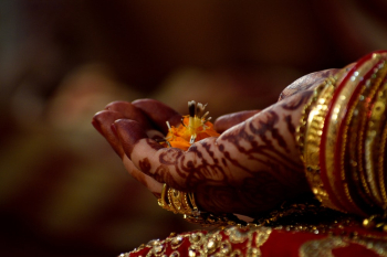 Hand With Mehndi Holding Flower Hand With Mehndi Holding Flower