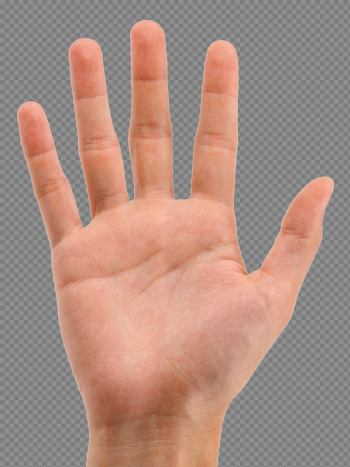 Hands PNG Image - PurePNG | Free transparent CC0 PNG Image Library