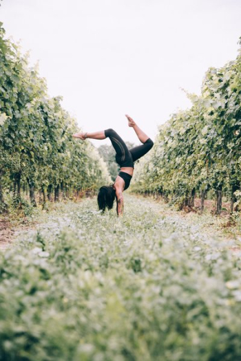 Handstand And Balance In Trees Handstand And Balance In Trees