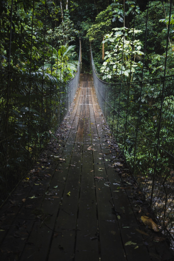 Hanging Bridge
