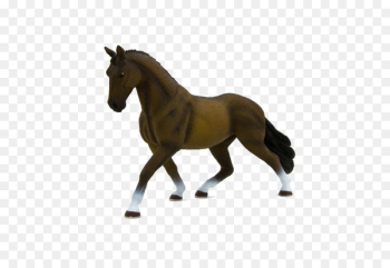Hanoverian horse American Quarter Horse Clydesdale horse Appaloosa Arabian horse - mustang 