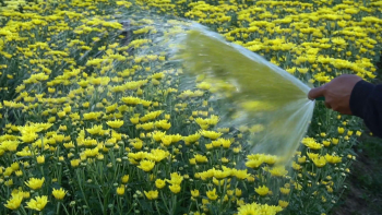 Happy man watering flower and plants in garden. Stock Video ...