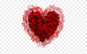 Happy Valentine's Day - Garden Roses Happy Valentine's Day - Garden Roses