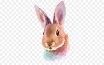 Hare, Watercolor Painting, Painting, Rabbit, Rabbits And Hares PNG
