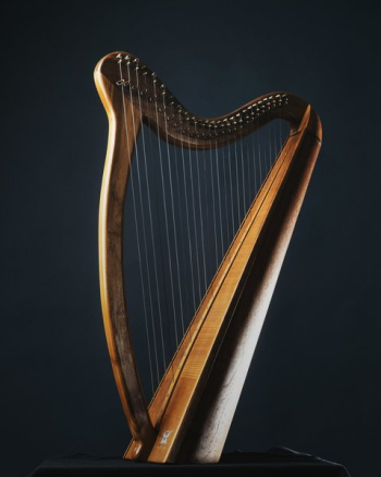 Harp Musical Instrument In Shadows Harp Musical Instrument In Shadows