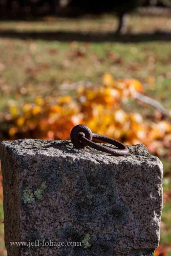 Harpswell Maine fall color | Png | New england fall foliage, Maine ...