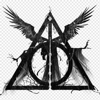 Harry Potter and the Deathly Hallows Harry Potter and the Half-Blood Prince Albus Dumbledore Hermione Granger, Harry Potter, symmetry, monochrome, fictional Character png