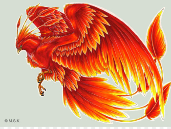 Harry Potter Phoenix Fawkes Bird Tattoo - Phoenix Harry Potter Phoenix Fawkes Bird Tattoo - Phoenix