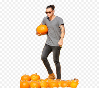 Harry Styles Vegetarian cuisine Emoji - others Harry Styles Vegetarian cuisine Emoji - others