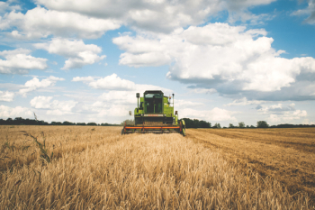 Harvest Harvest