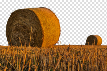 Harvest Agriculture Hay Field Farm, Wheat field transparent background PNG clipart Harvest Agriculture Hay Field Farm, Wheat field transparent background PNG clipart