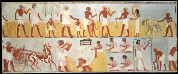 Harvest Scenes, Tomb of Menna | Free Photo - rawpixel Harvest Scenes, Tomb of Menna | Free Photo - rawpixel