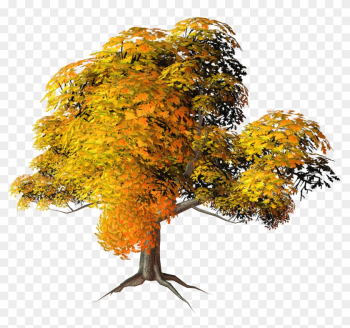 Has Found 20 Trees With Transparent Background - Fall Trees Png Has Found 20 Trees With Transparent Background - Fall Trees Png