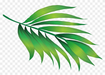 Hawaii Icon - Hawaii Leaves - Hawaii Leaf Png