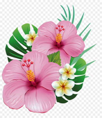 Hawaii Shoeblackplant Common Hibiscus Flower Clip art - tropical 